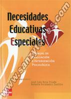 Necesidades Educativas Especiales