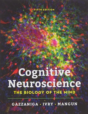 Cognitive Neuroscience