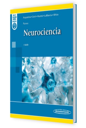 Neurociencia 