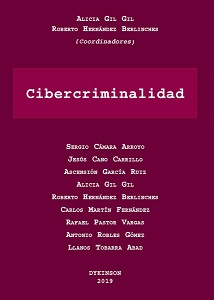 Cibercriminalidad 