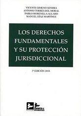 Los Derechos Fundamentales Y Su Protección Jurisdiccinal 