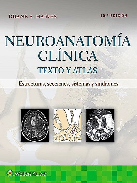 Neuroanatomía Clínica 