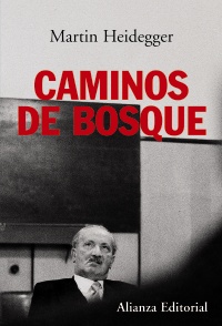 Caminos De Bosque