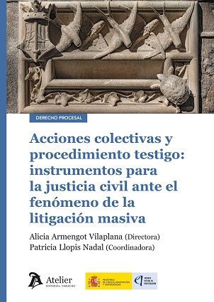 Acciones Colectivas Y Procedimiento Testigo